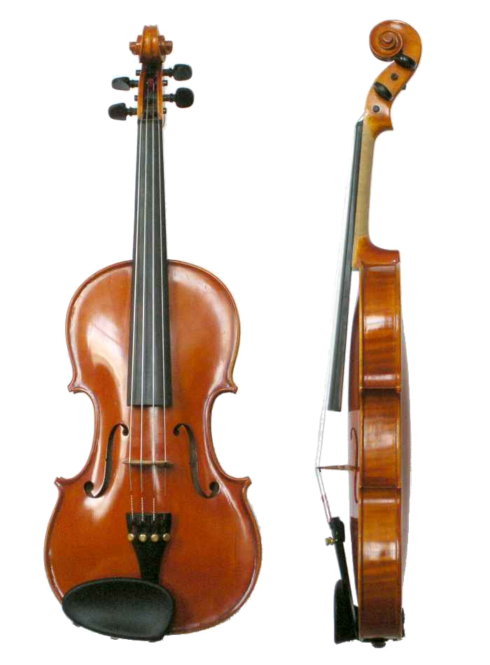 Front and side view of a violin